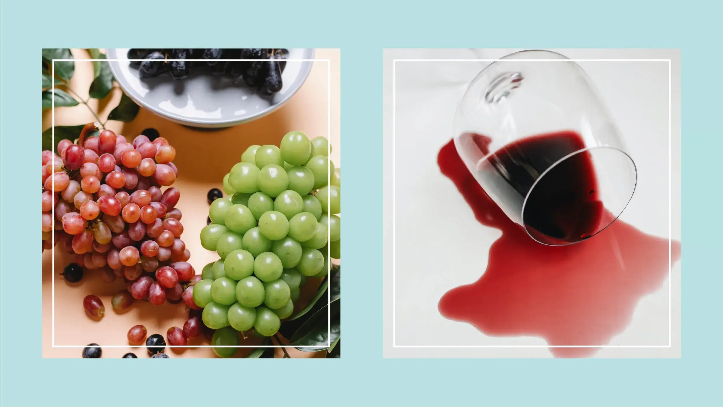 Ingredient Spotlight: Resveratrol, The Powerful Anti-Aging Compound Found in Your Favorite Wine Illustrations