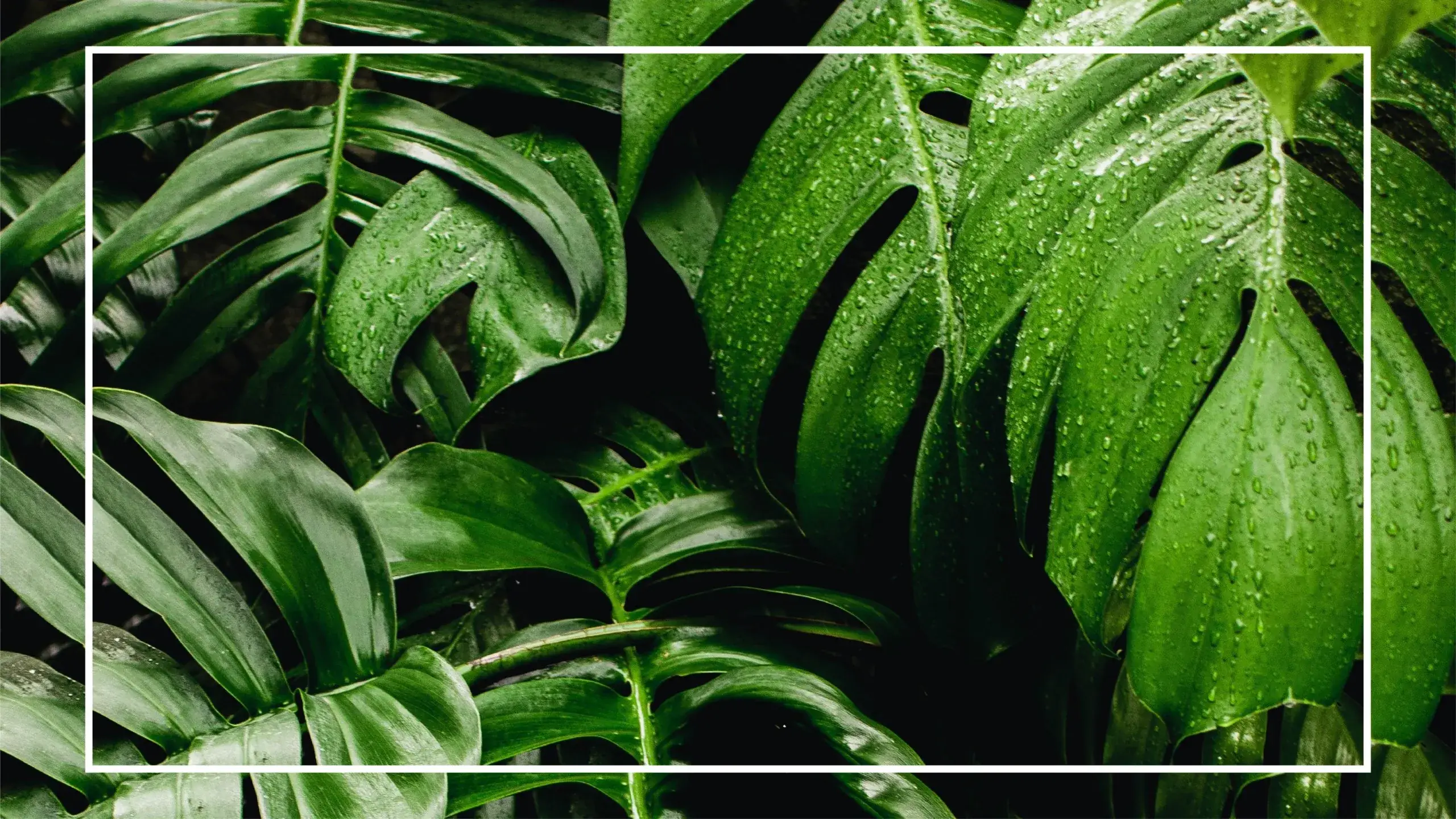 Experts Agree: A Lack of Fresh Air Can Seriously Irritate Your Skin Illustrations