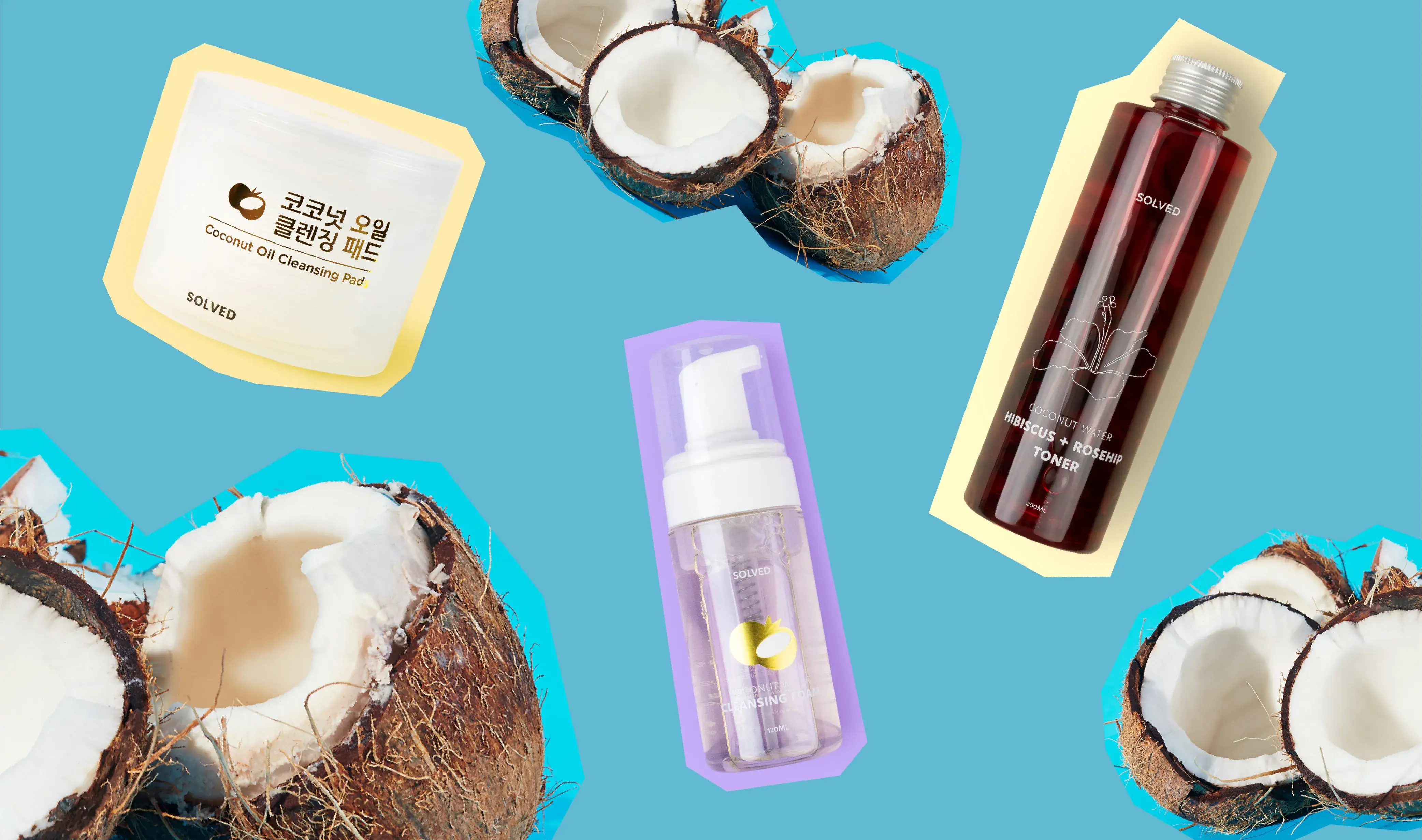 Ingredient Spotlight: Coconuts Illustrations