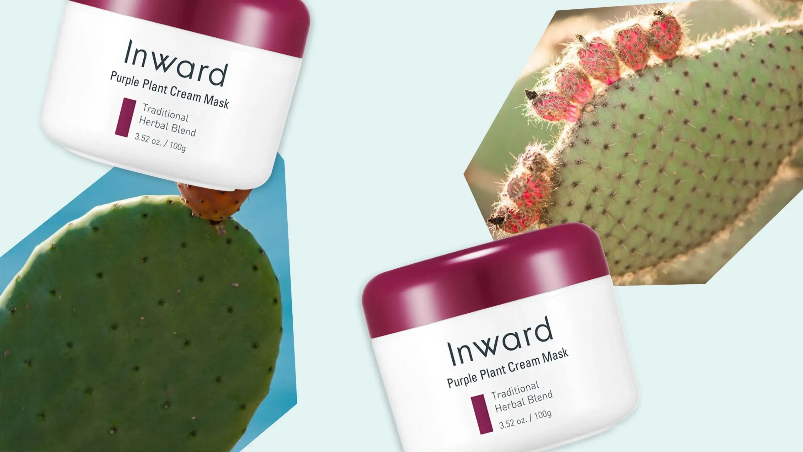 Ingredient Spotlight: Meet the Desert Grown Hydrating Skin Care Staple- The Prickly Pear Cover image