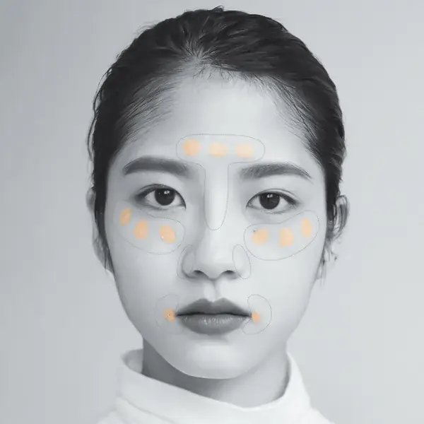 コンシーラーをのせる場所を示した写真。Tゾーン、目の下、小鼻の脇、唇の両端