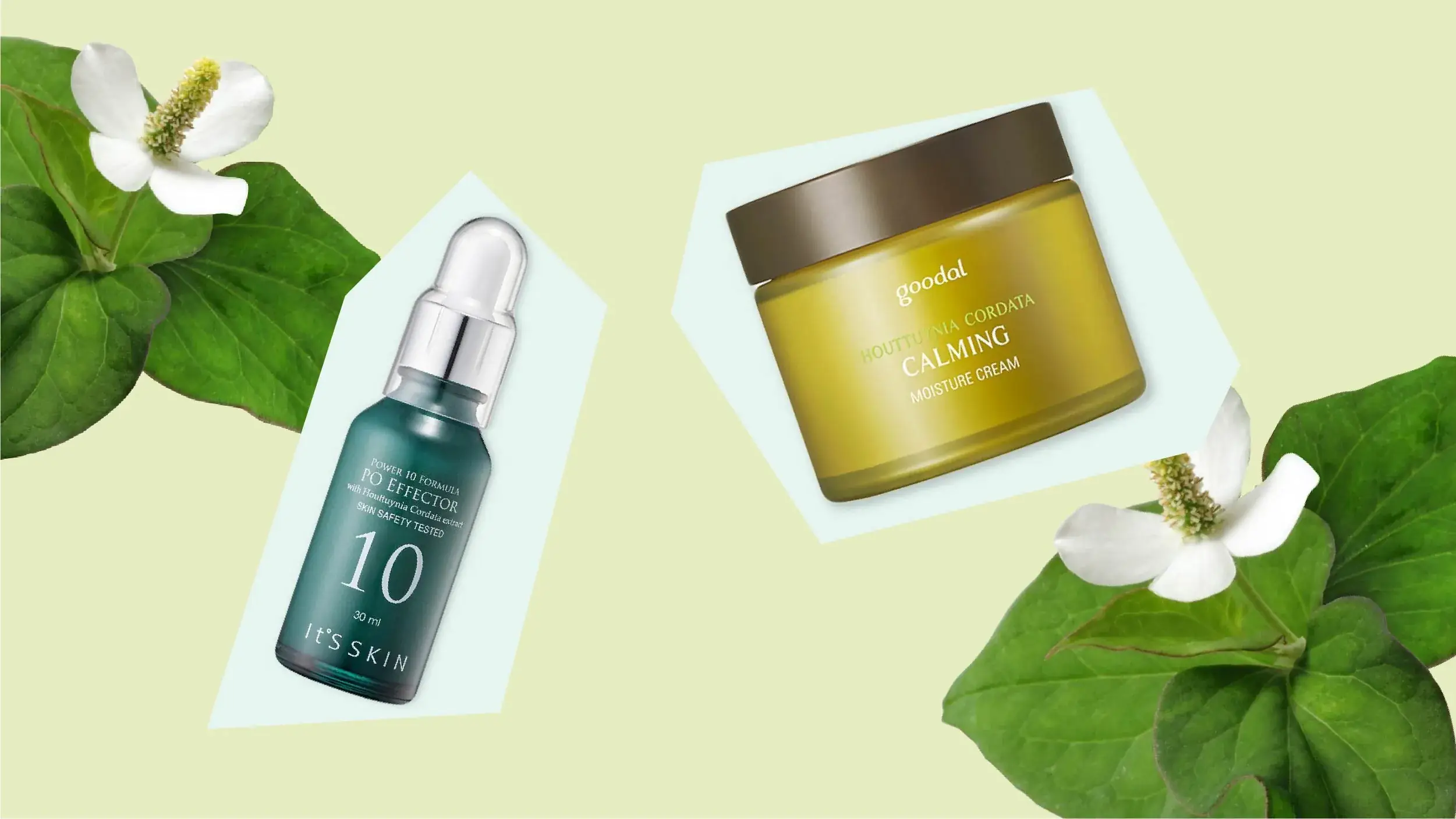 Ingredient Spotlight: Houttuynia Cordata, The Ultimate Balancing and Soothing Solution for Irritated Skin 그림